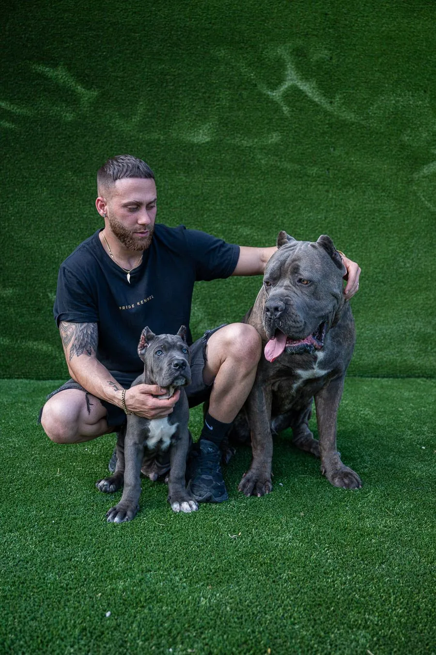 Pride Kennel breeder with Cane Corso adult and puppy